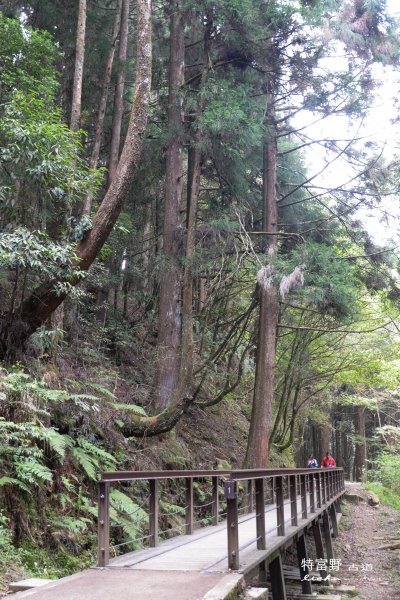 特富野古道1407533