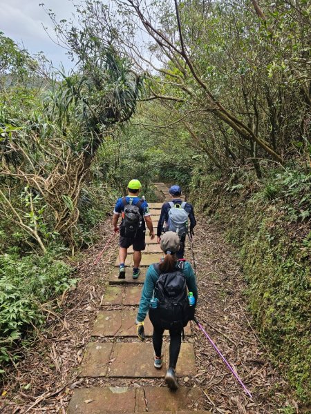 20241229貢寮到大溪(長潭山-西山-丁蘭山-三方向山-鹿窟尾山-睏牛山)2678876