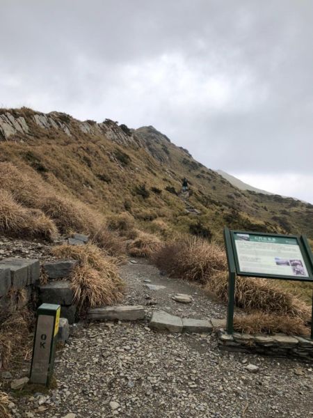 合歡東峰-石門山-合歡尖山 289917