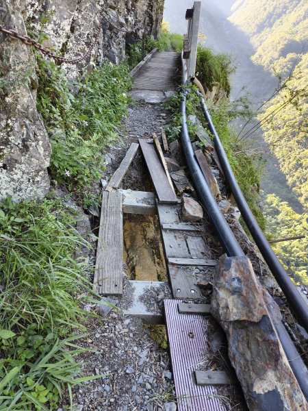 [玉山尋寶任務-07/12] 2025_0824 八通關雲龍瀑布步道2870588