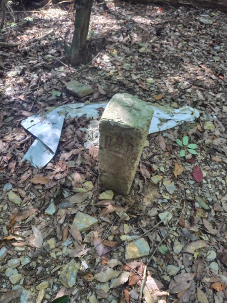 南東眼山連走有勝山2918733