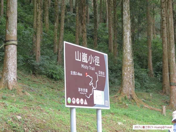 《南投》心靈之旅｜惠蓀林場步道群20171010-212890562