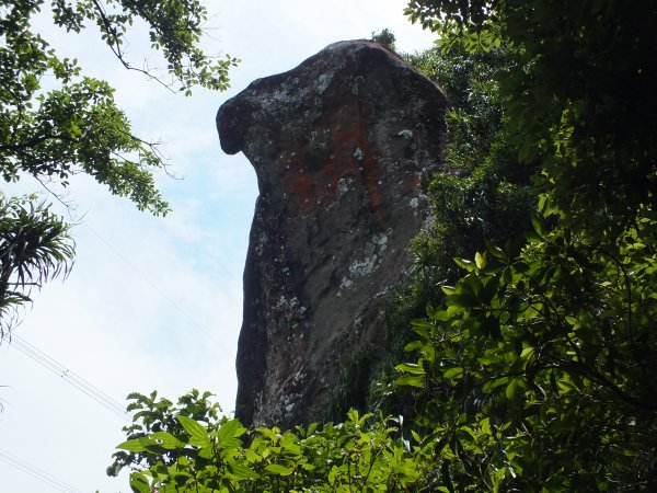 藤寮坑山、永定坑山、鳥嘴尖、皇帝殿北峰步道O型走