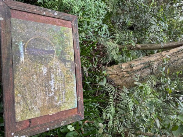 2025/04/13 小百岳第008「大崙頭山」2760265