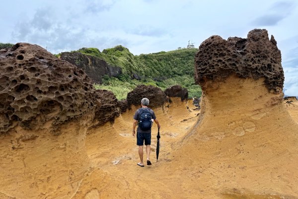 野柳地質公園、野柳岬山步道202507212863847