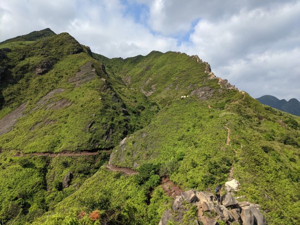 劍龍稜無耳茶壺山1468079