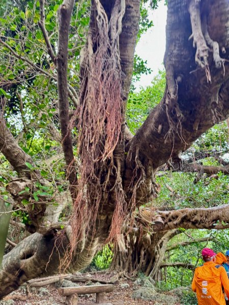 北壽山走壽山(小百岳#77) 龍泉寺起登出千光宮2934452
