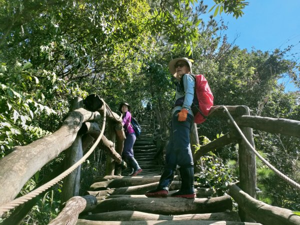 1110116 大坑四，五，三之一號步道O型一圈1584042