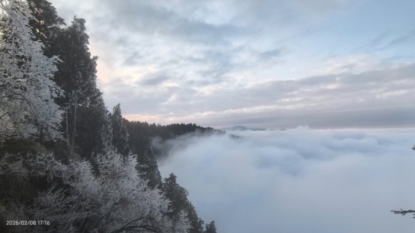 #霧淞 #雲海 #雲瀑 #霧虹 #太平山 #望洋山 #觀雲步道 #翠峰道路  2/82995297