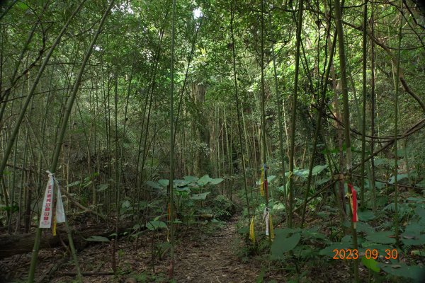 苗栗 大湖 玉女山、金童山、汶水山2301470