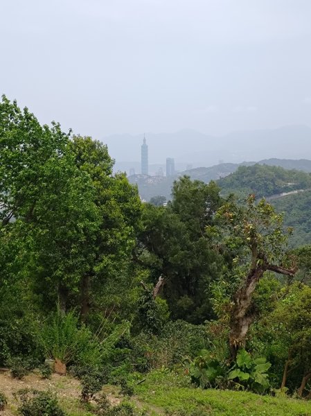 臺北大縱走第七段 世界山莊至飛龍步道政大後山2753470