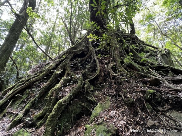 加里山好精彩2547372