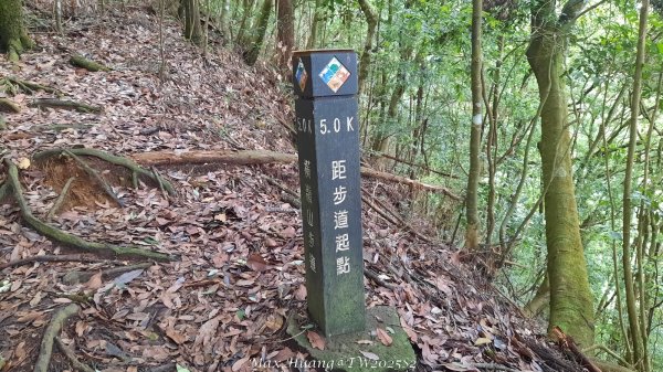 《台中》優美稜線｜橫嶺山自然步道（大雪山社區南登山口）202505312800196