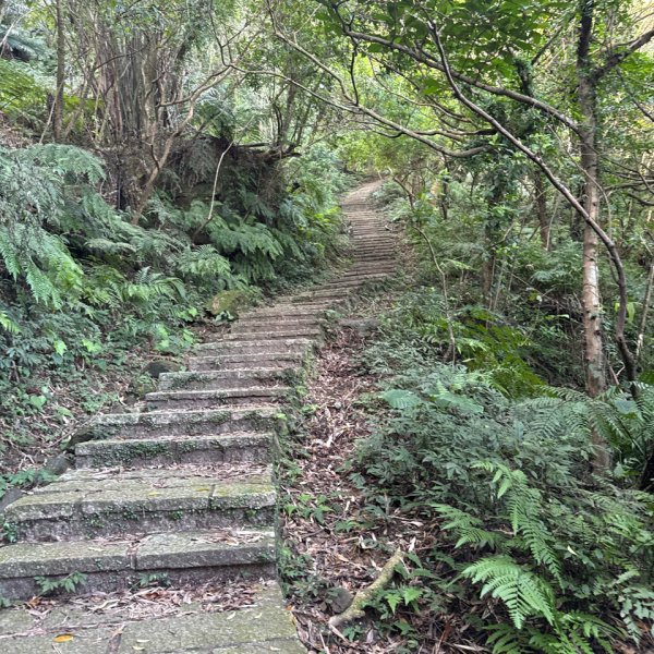 20260110 更寮古道(小百岳-土庫岳)2980773