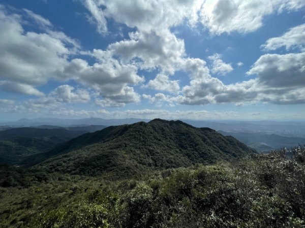 五指山-友蚋山-新山O型202101301338224