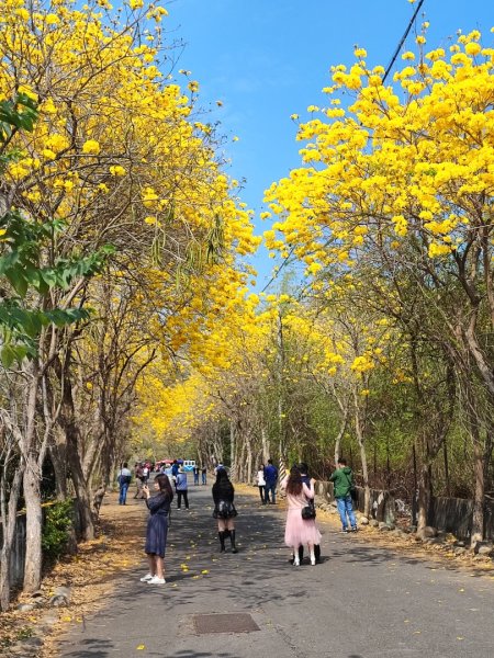 坑內坑森林步道-(彰化)臺灣百大必訪步道2447006