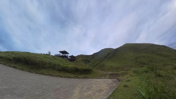 20251115_草嶺古道追芒趣2942952