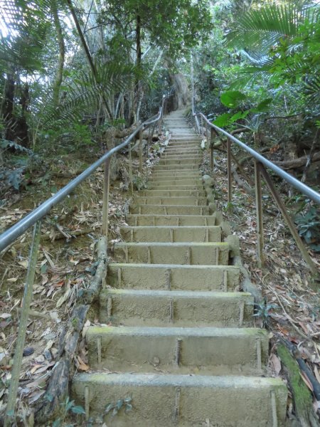 豐原三崁頂健康步道3上2下O形2696140