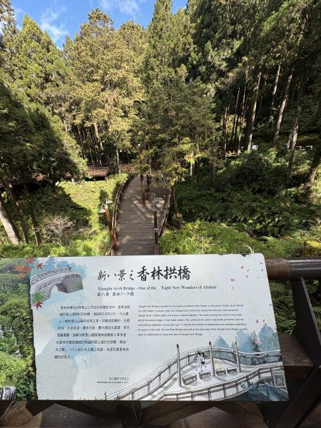 20251225塔山步道(大塔山)2970466
