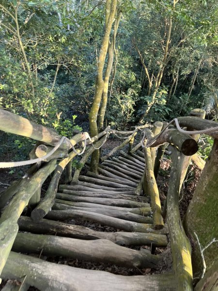 大坑二號步道2711557