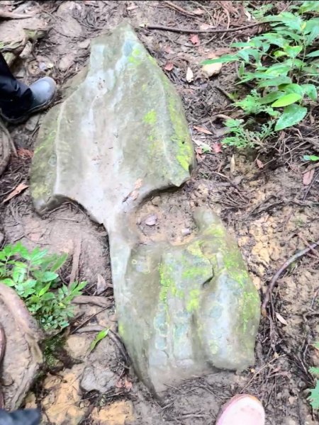 光天高山 - 向天湖山(小百岳32) 小O一圈2876942