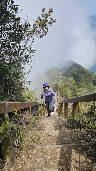 【美美兔走山趣】谷關抓雄-老六白毛2749966