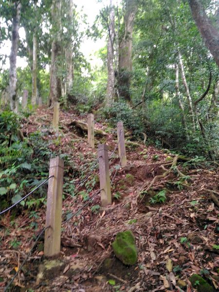 嘉南雲峰、石壁山登山步道147332