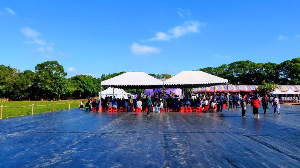 富岡仙草花2942411