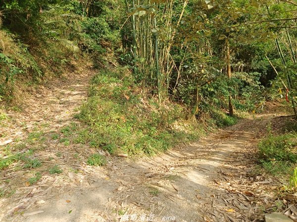 【高雄甲仙】沒有朵朵白雲。 小百岳集起來。 編號69小百岳-白雲山步道1713227