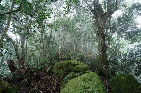 新竹 五峰 鬼澤山2634020