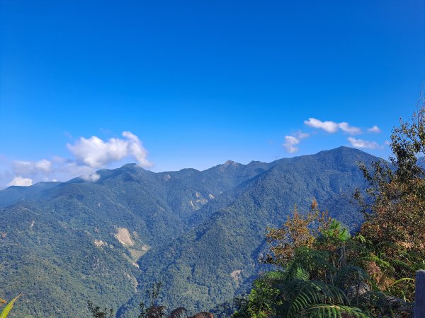 東卯山－大道院線(2022.10.07)1926143