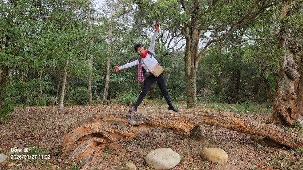 20260127三通嶺山.三義山(大桁茂山).慈濟山.大坪山大O走2989910