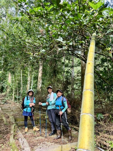 挑竹古道6號走小半天6連峰出孟宗竹林古戰場3108793