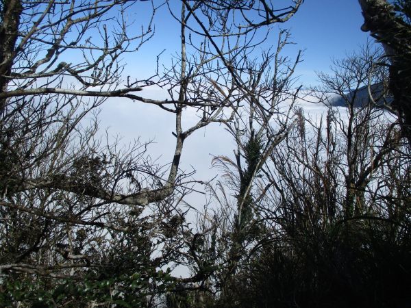 加里山之美193543