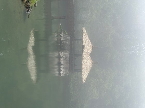 嘉義大凍山大塔山+紅毛埤山3067143