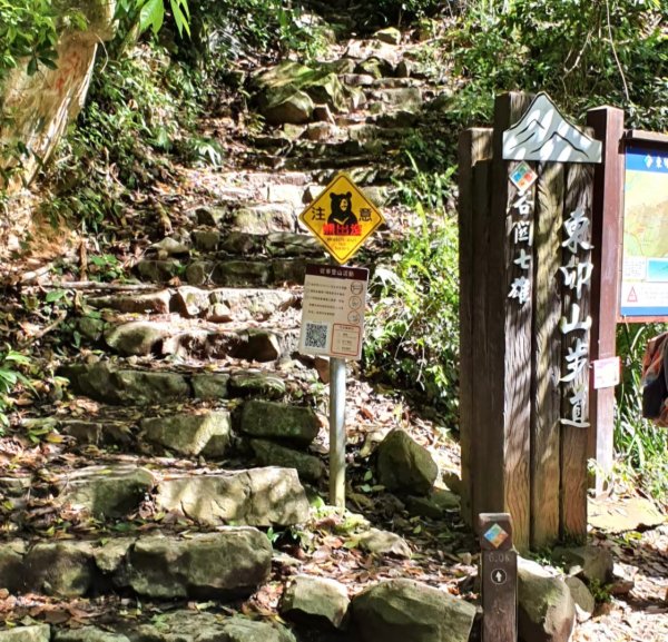 【中級山】谷關七雄東卯山2740995