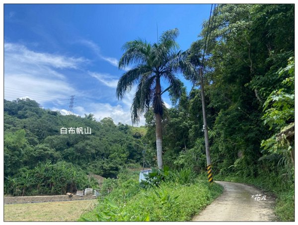 白布帆山、挑沙古道 連走2815735