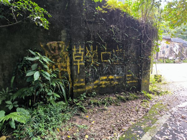 20251108草嶺古道2936121