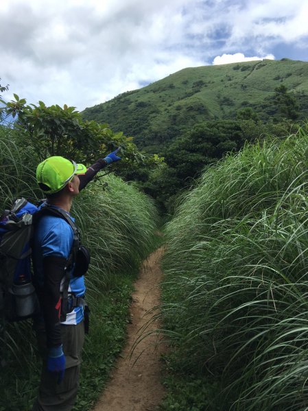 第二段大屯山系1005529