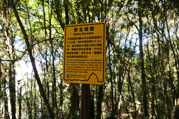 雪見大板根2924714