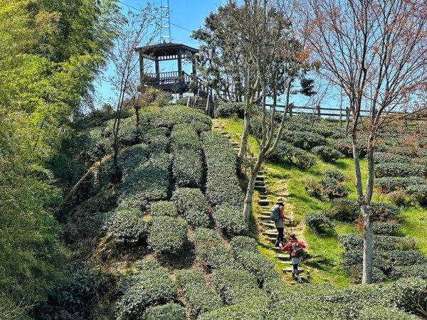 溪頭六連峰O繞2741743