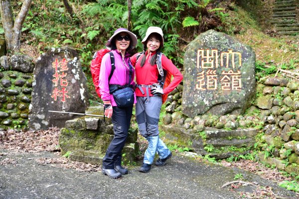 大石璧坑山-五酒桶山-龍岡山-灣坑頭山824277