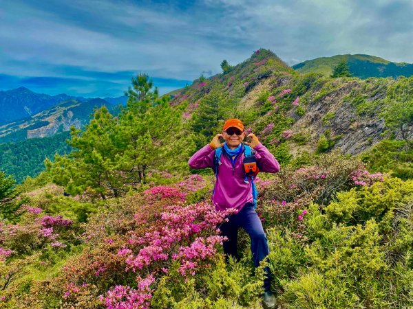 合歡山七連峰的空中花園賞花趣3073116