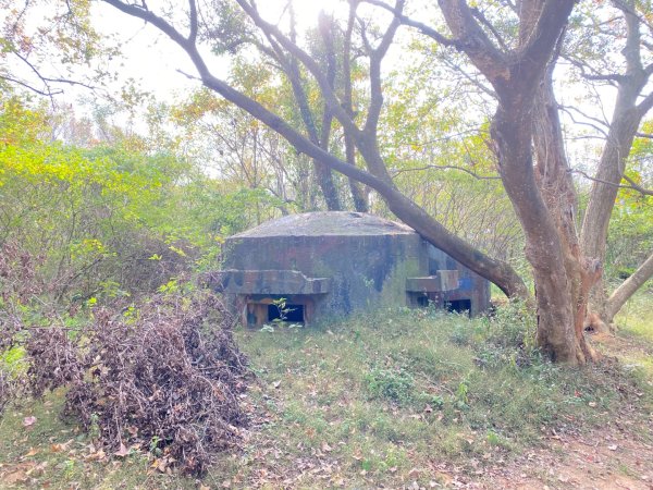 苗栗頭份-老崎古道2628346