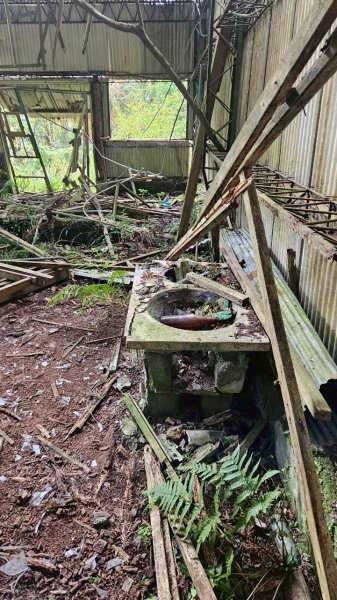 20250420古魯古道-大元山-大元國小2767387