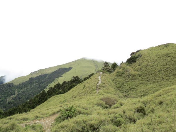 合歡山東峰-尖山-小奇萊-石門山2513131