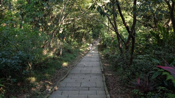 南港山步道3122060