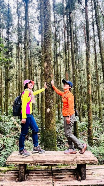 🌈228連假北橫賞櫻客製化四日遊Day2 FB：熊熊趴爬走🌈2724600