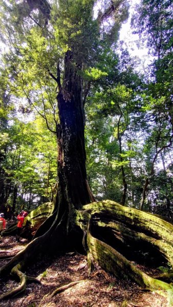 20250209 觀雪縱走2712929