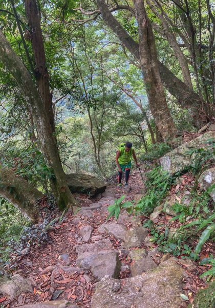 谷關七雄八仙山1114685